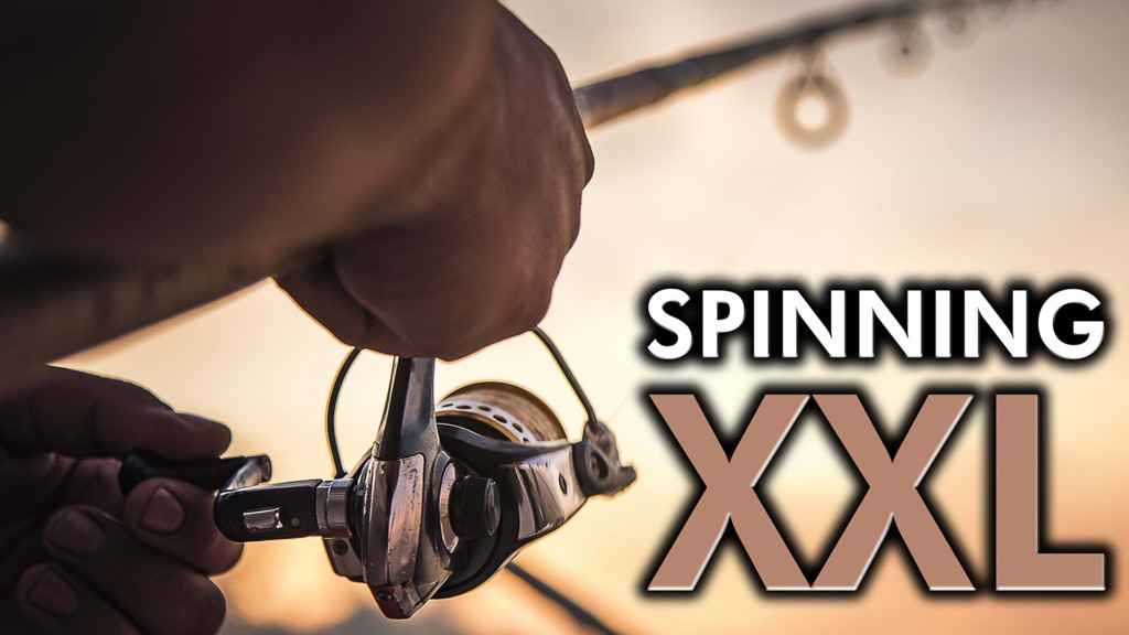 Spinning XXL
