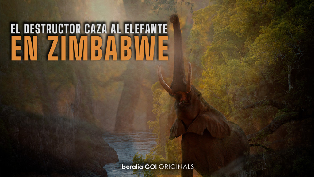 El Destructor Caza Al Elefante En Zimbabwe