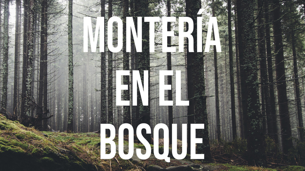 Montería el bosque