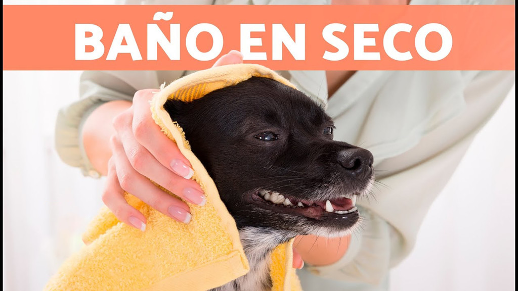 Cuida de su higiene