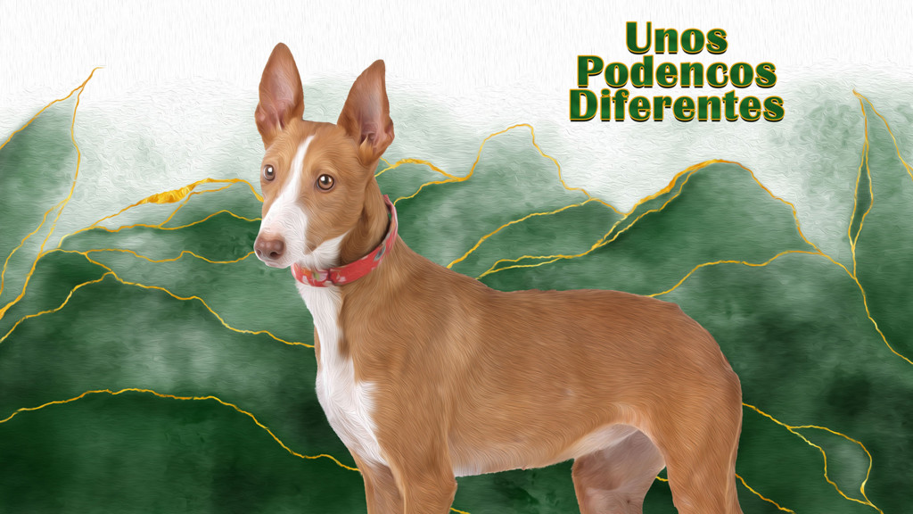 Unos Podencos Diferentes