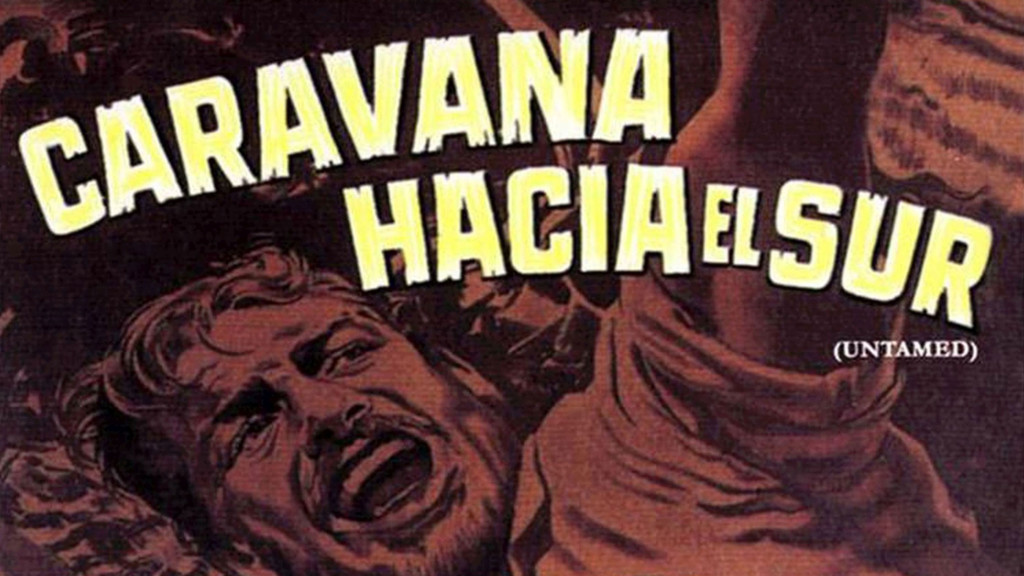 Caravana hacia el sur