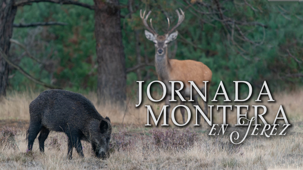 Jornada Montera En Jerez