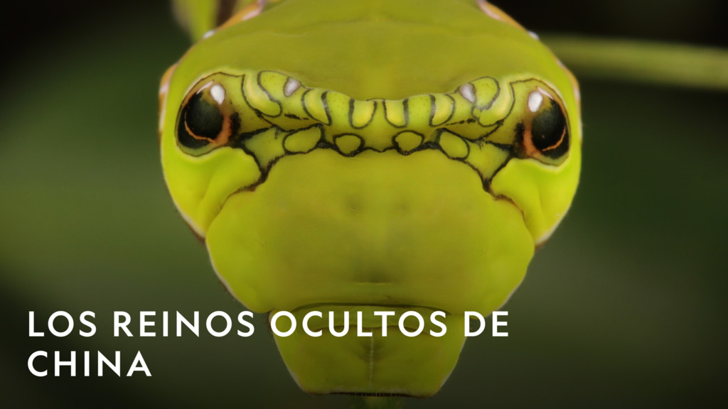 Especial Los reinos ocultos de China