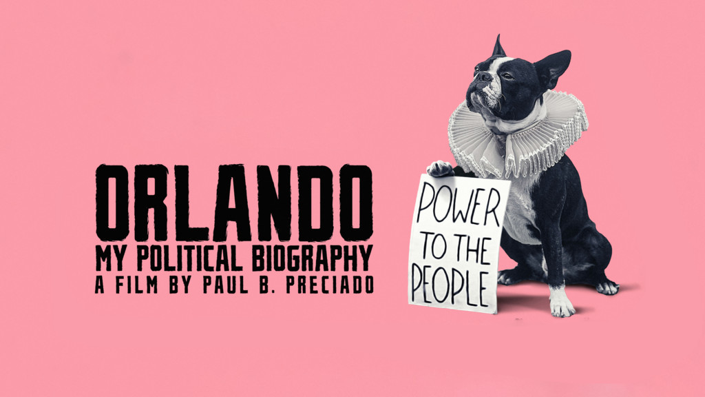 Orlando, la meva biografia política
