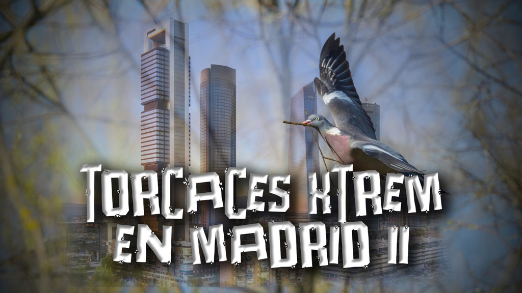 Torcaces Xtrem En Madrid