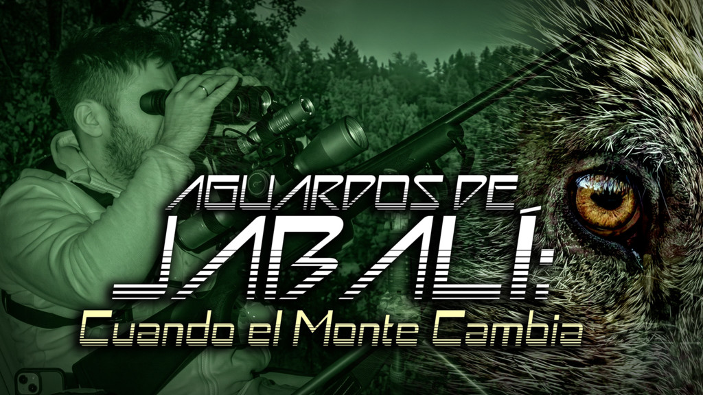 Aguardos de jabalí, cuando el monte cambia
