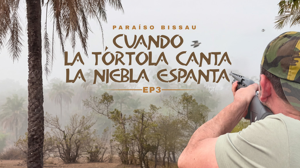 Guinea Visau - Cuando la tórtola canta, la niebla se levanta