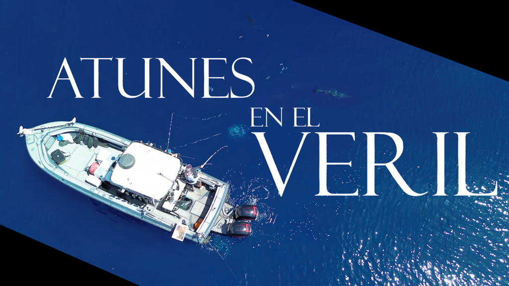 Atunes en el veril