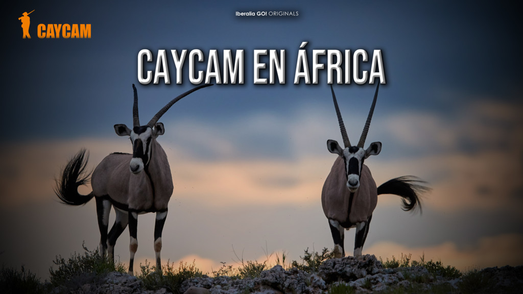 Caza En Sudáfrica Con Caycam I