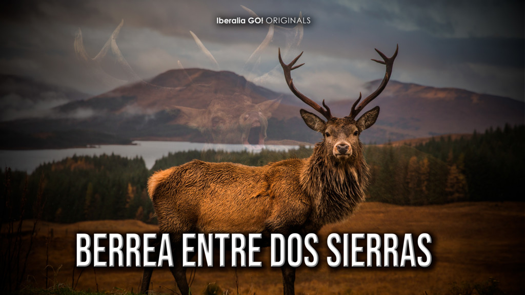 La Berrea Entre Sierras