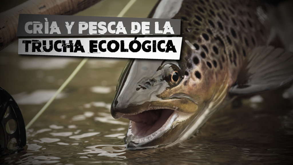 Cria Y Pesca De La Trucha Ecologica