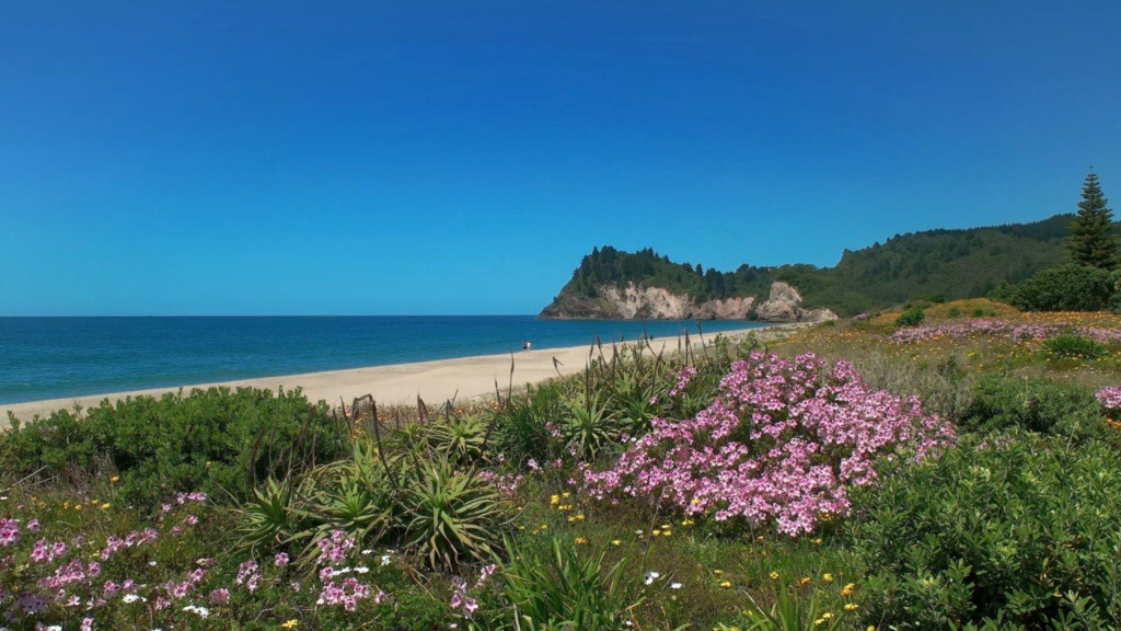 Playa Whiritoa