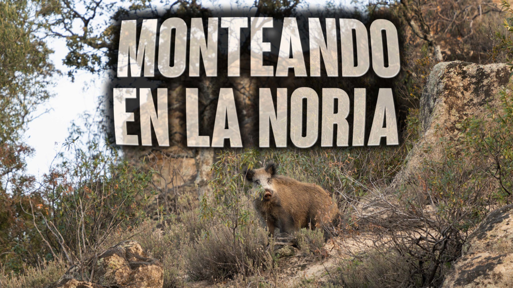 Monteando en La Noria