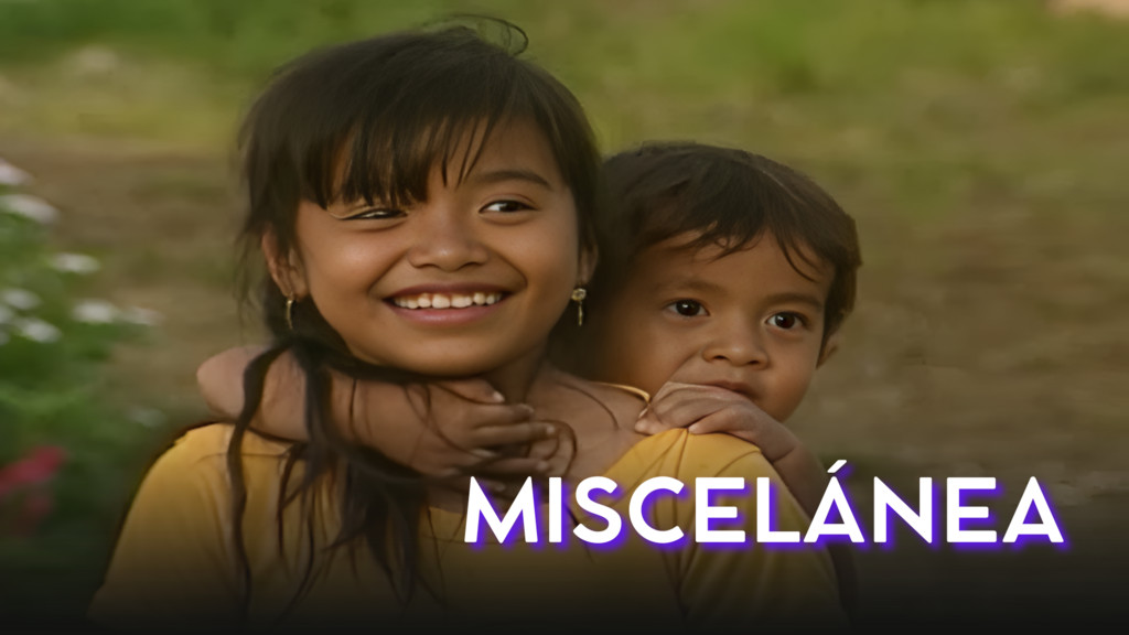 Miscelanea