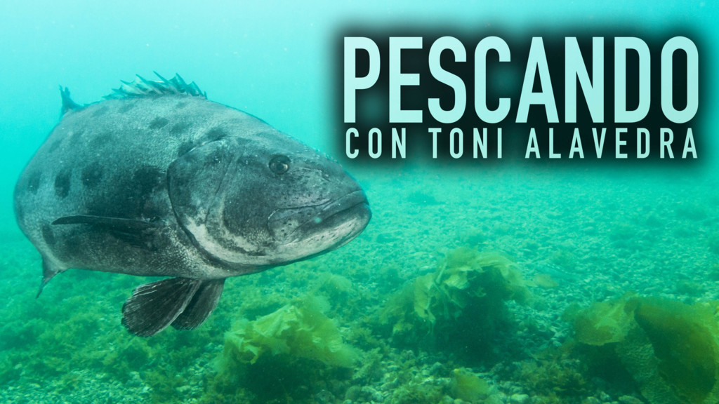 Pescando Con Toni Alavedra