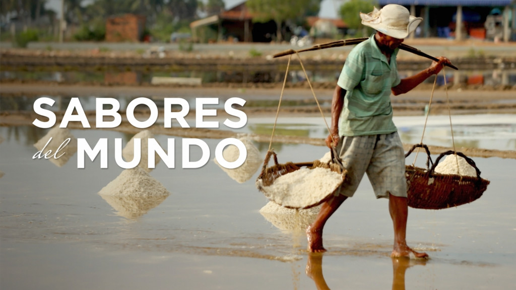 Sabores del mundo