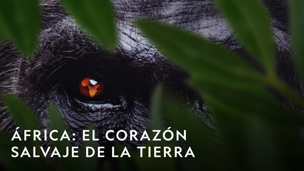 África: el corazón salvaje de la Tierra