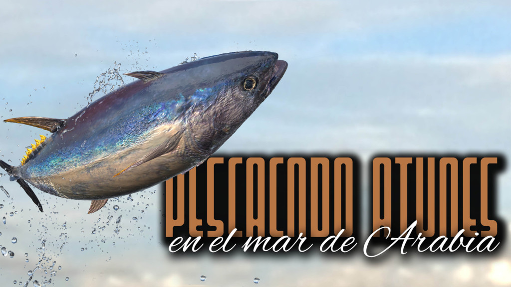 Pescando Atunes En El Mar De Arabia