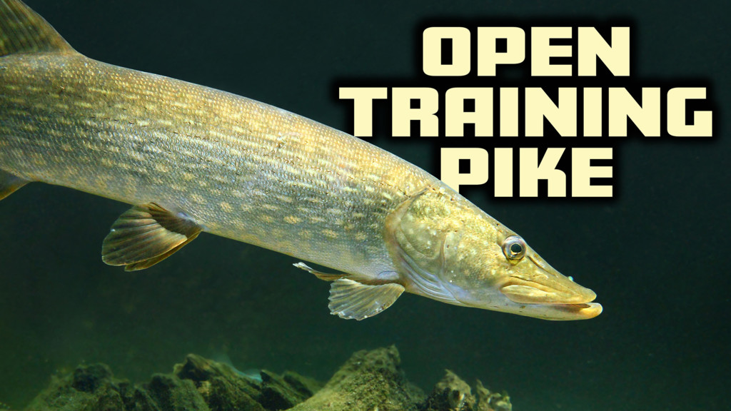 Open Training Pike
