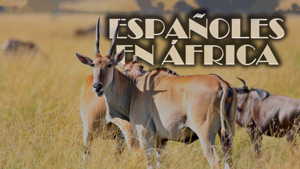 Españoles en África