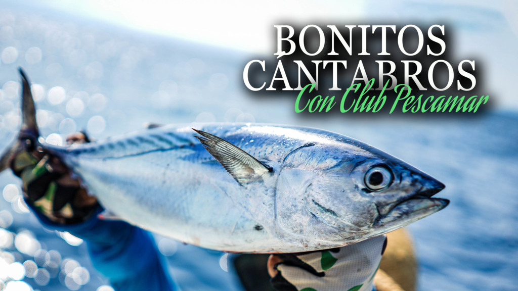 Bonitos cántabros con club Pescamar
