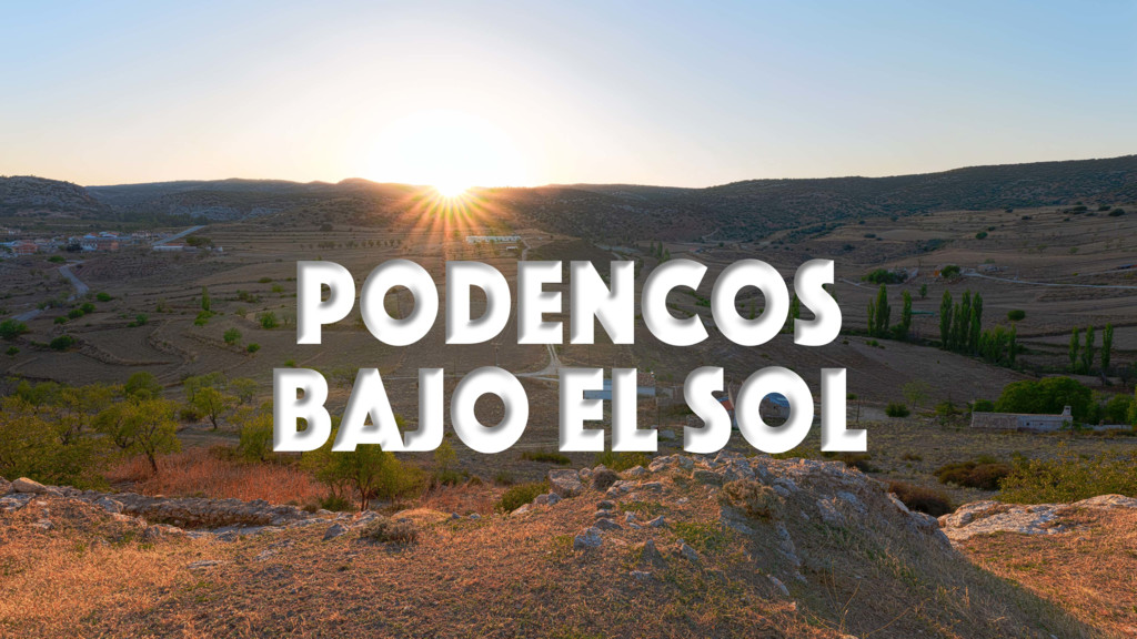 Podencos bajo el sol