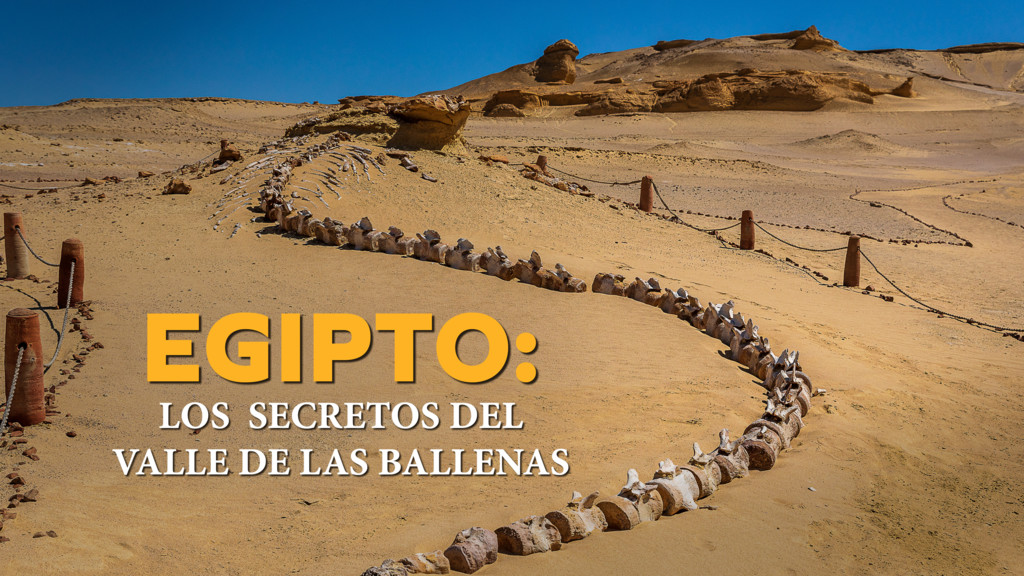 Egipto: Los secretos del Valle de las Ballenas