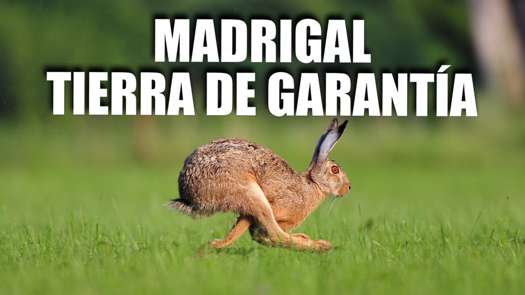 Madrigal Tierra De Garantia