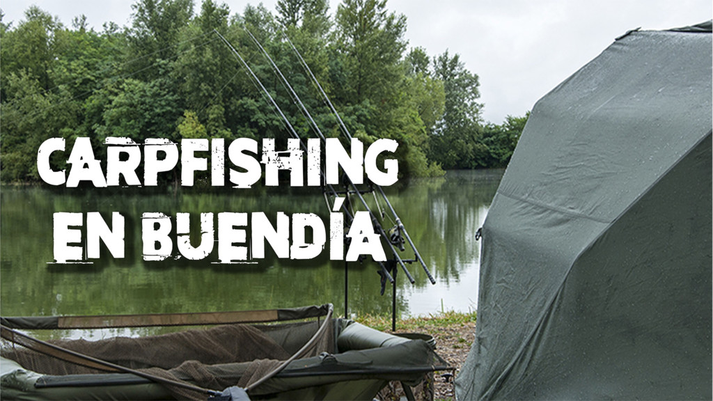 Carpfishing en el Tajo