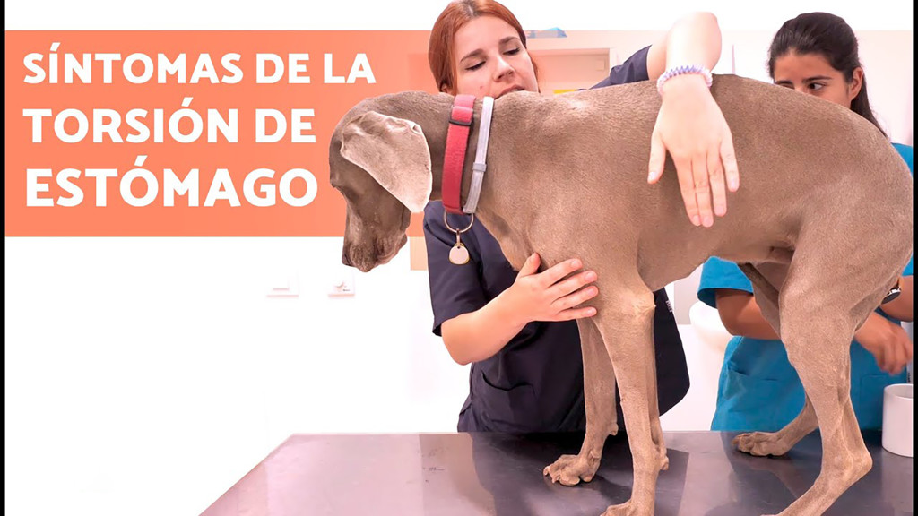 Cuidados para una buena salud