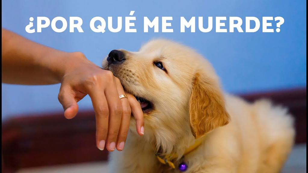 ¿Qué hacer en estas situaciones?