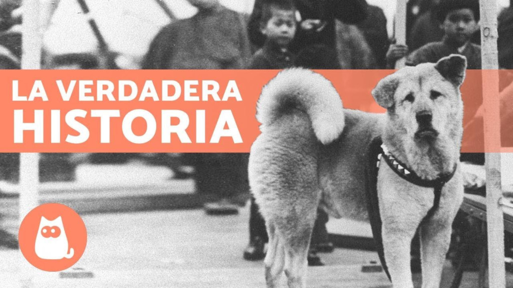 ¿Te suenan estos perros?