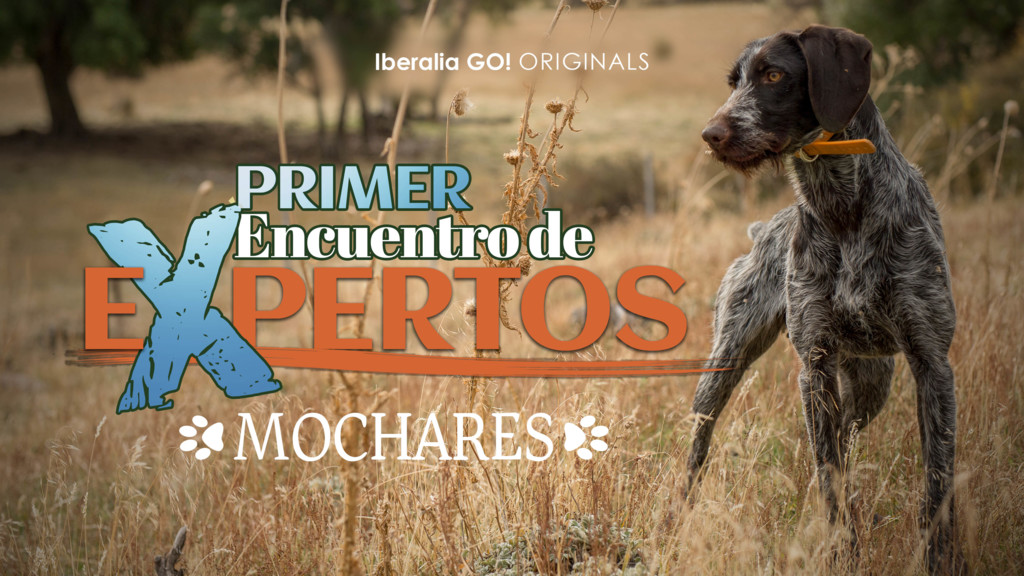 Conociendo a los expertos con beretta