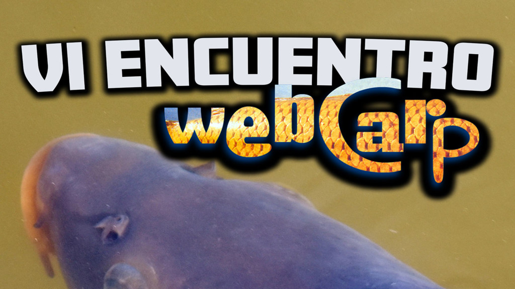 Vi Encuentro Webcarp