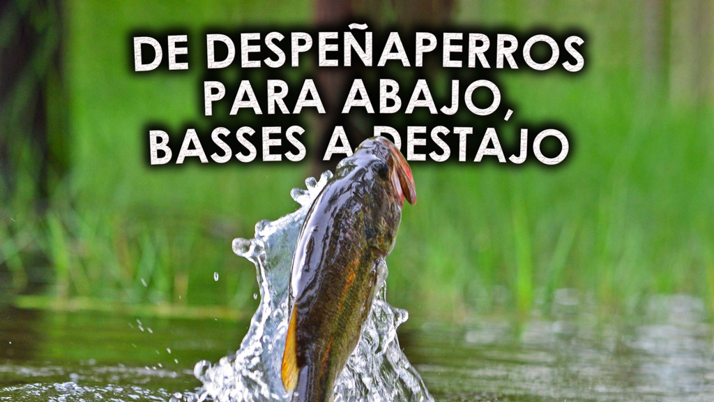 De Despeñaperros Para Abajo, Basses A Destajo