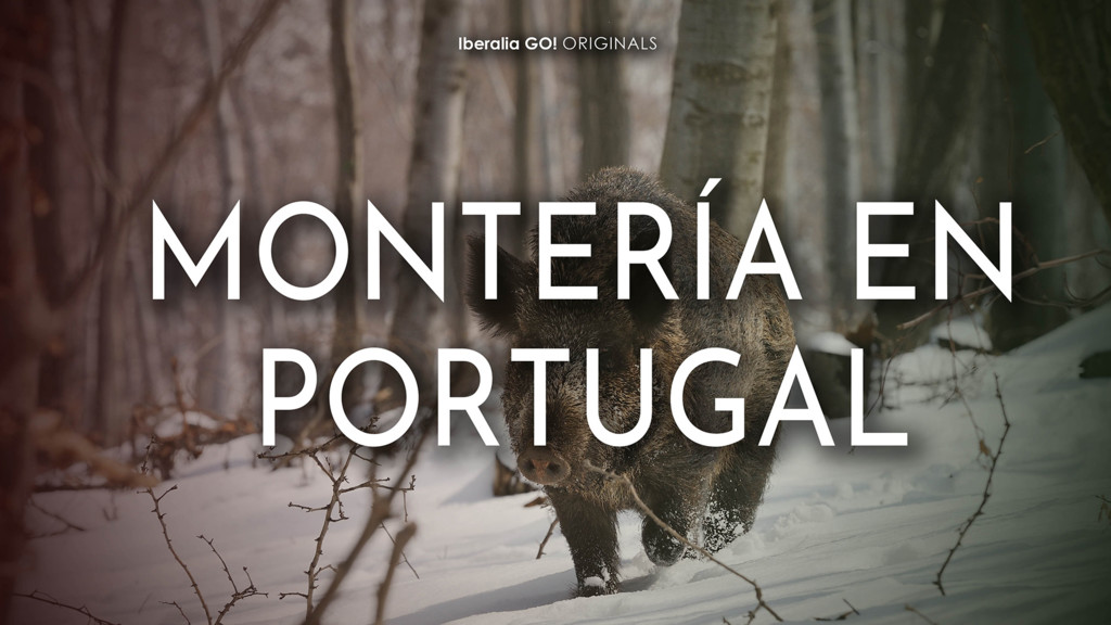Monteria en Portugal