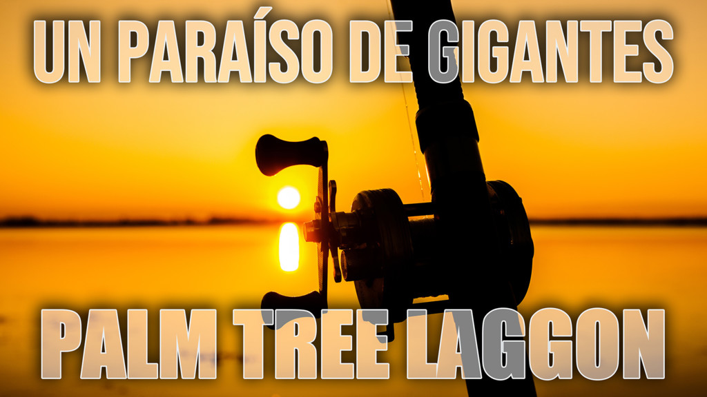 Un Paraiso De Gigantes, Palm Tree Laggon