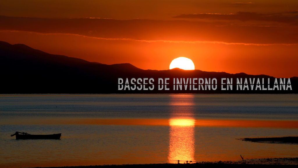 Basses de invierno en Navallana
