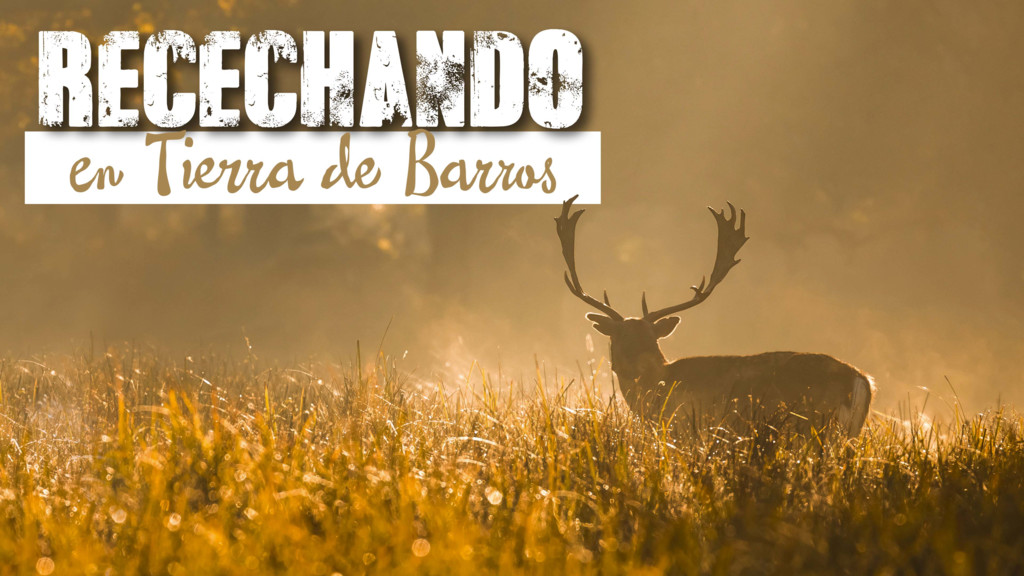 Recechando en tierra de barros