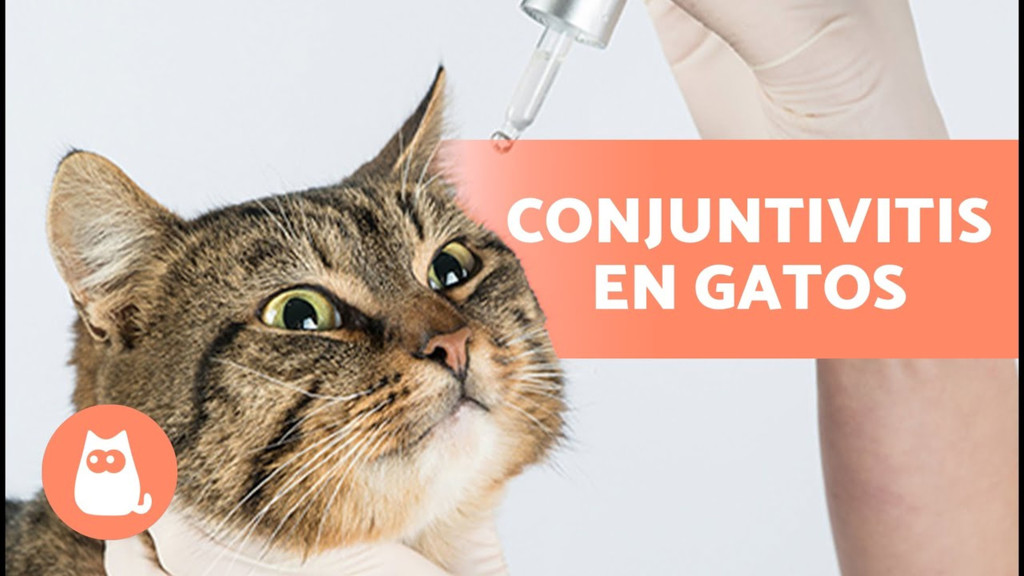 Tips para cuidar de su salud