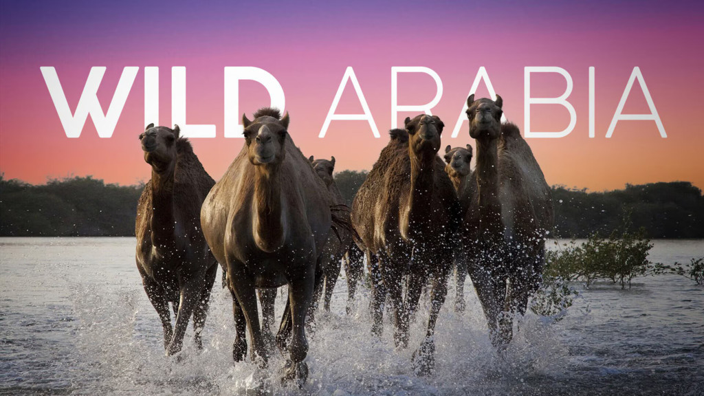 Wild Arabia