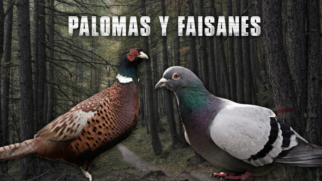 Palomas y faisanes