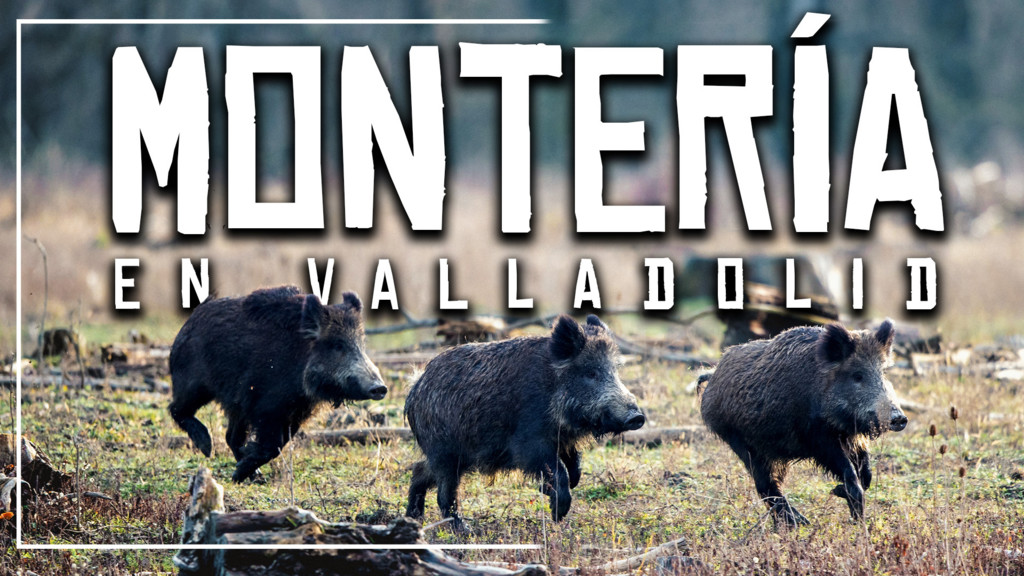 Montería En Valladolid