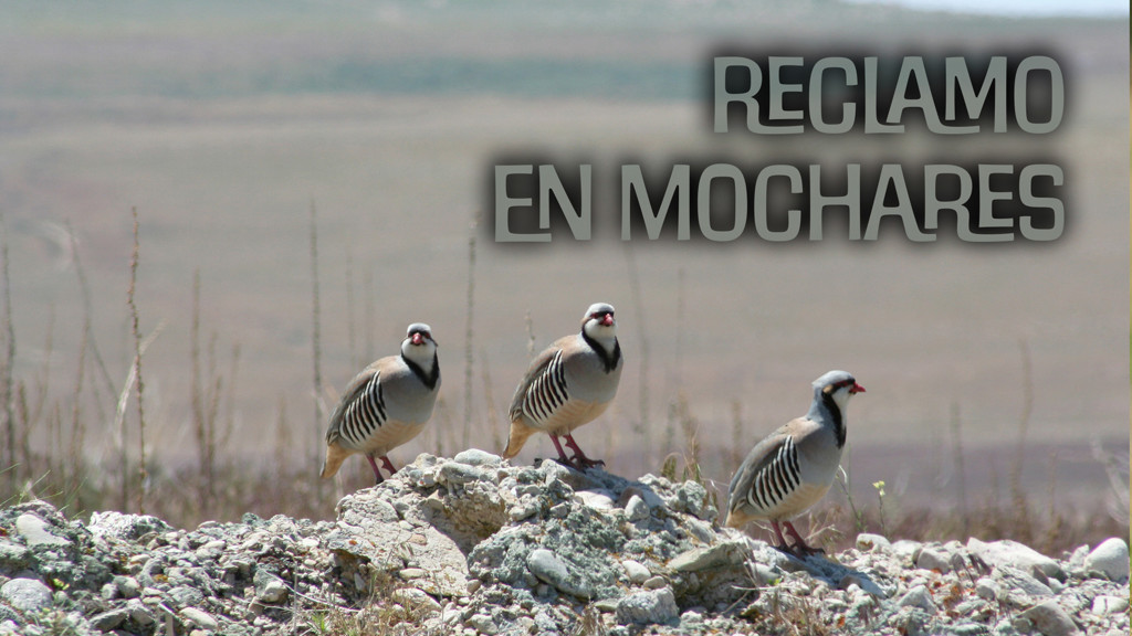 Reclamo en Mochares