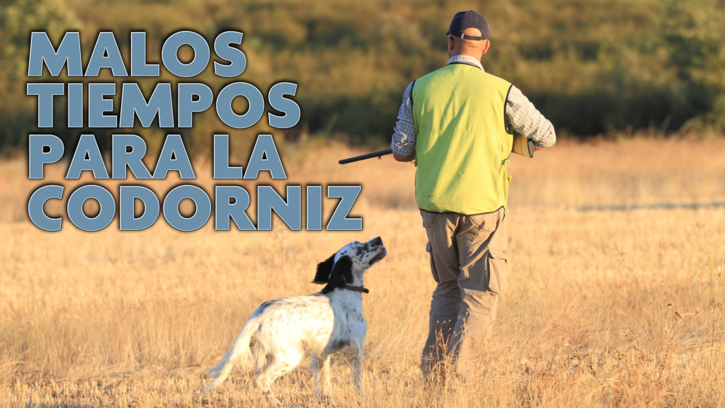 Malos Tiempos Para La Codorniz