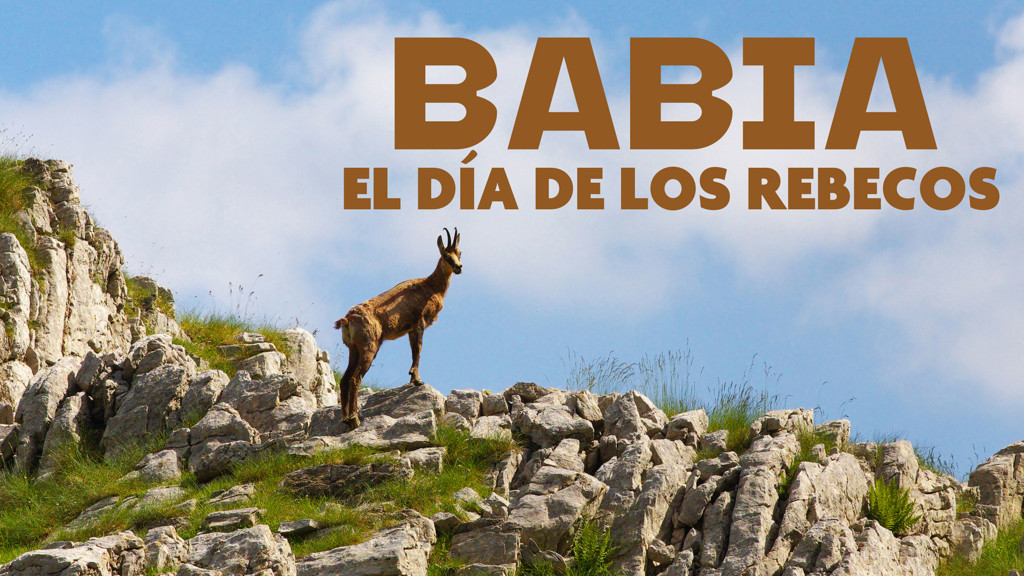 Babia el día de los rebecos