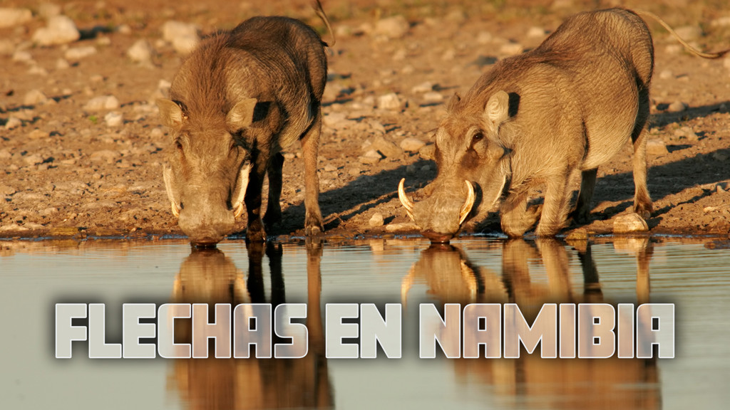 Flechas en Namibia