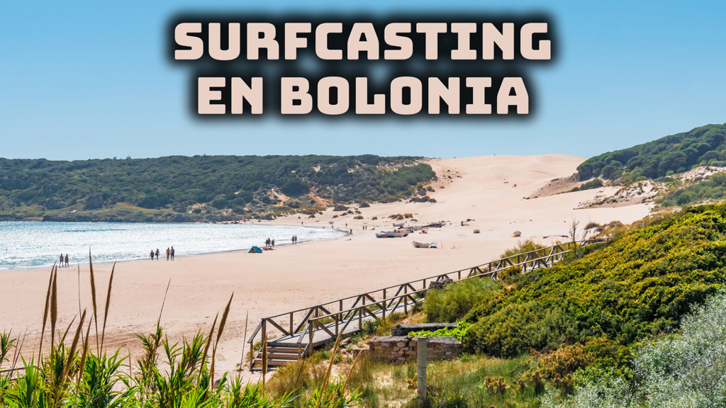 Surfcasting En Bolonia