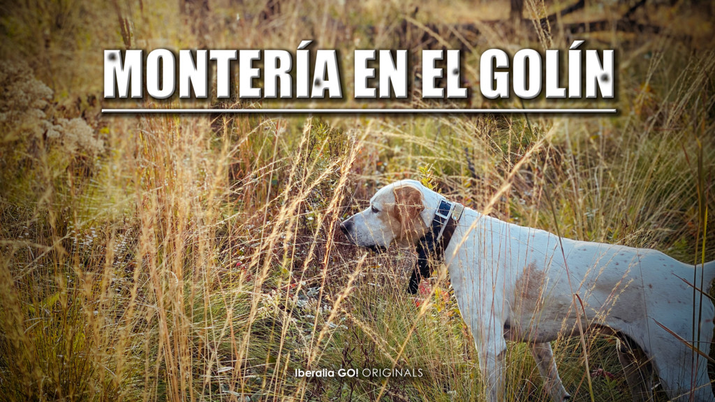 Montería en el Golin
